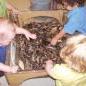 Mixing the Ingredients for Planting in the Sensory Table